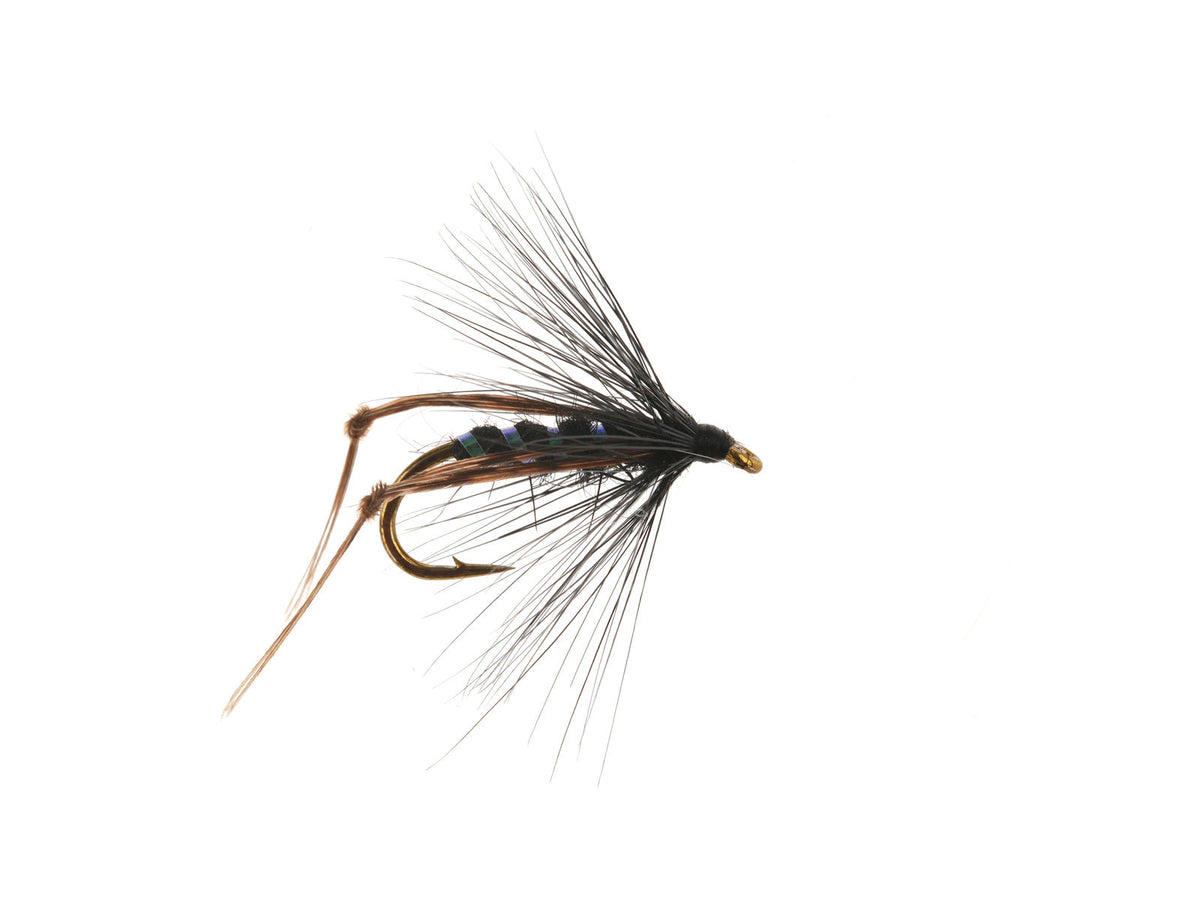 Product photo of the Black Hopper Spider Wet Fly, WIFREO style XY107