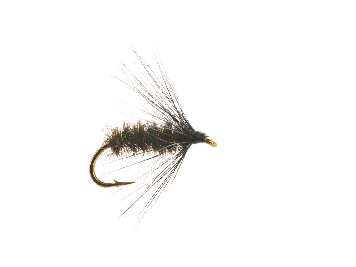 Product photo of the Black & Peacock Wet Fly, WIFREO style XY108