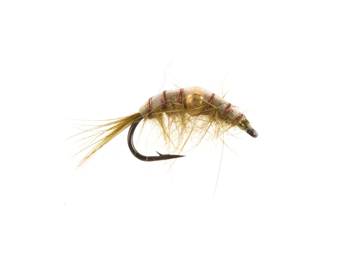 Studio product image of the Belly Bead Scud, WIFREO style XY171A