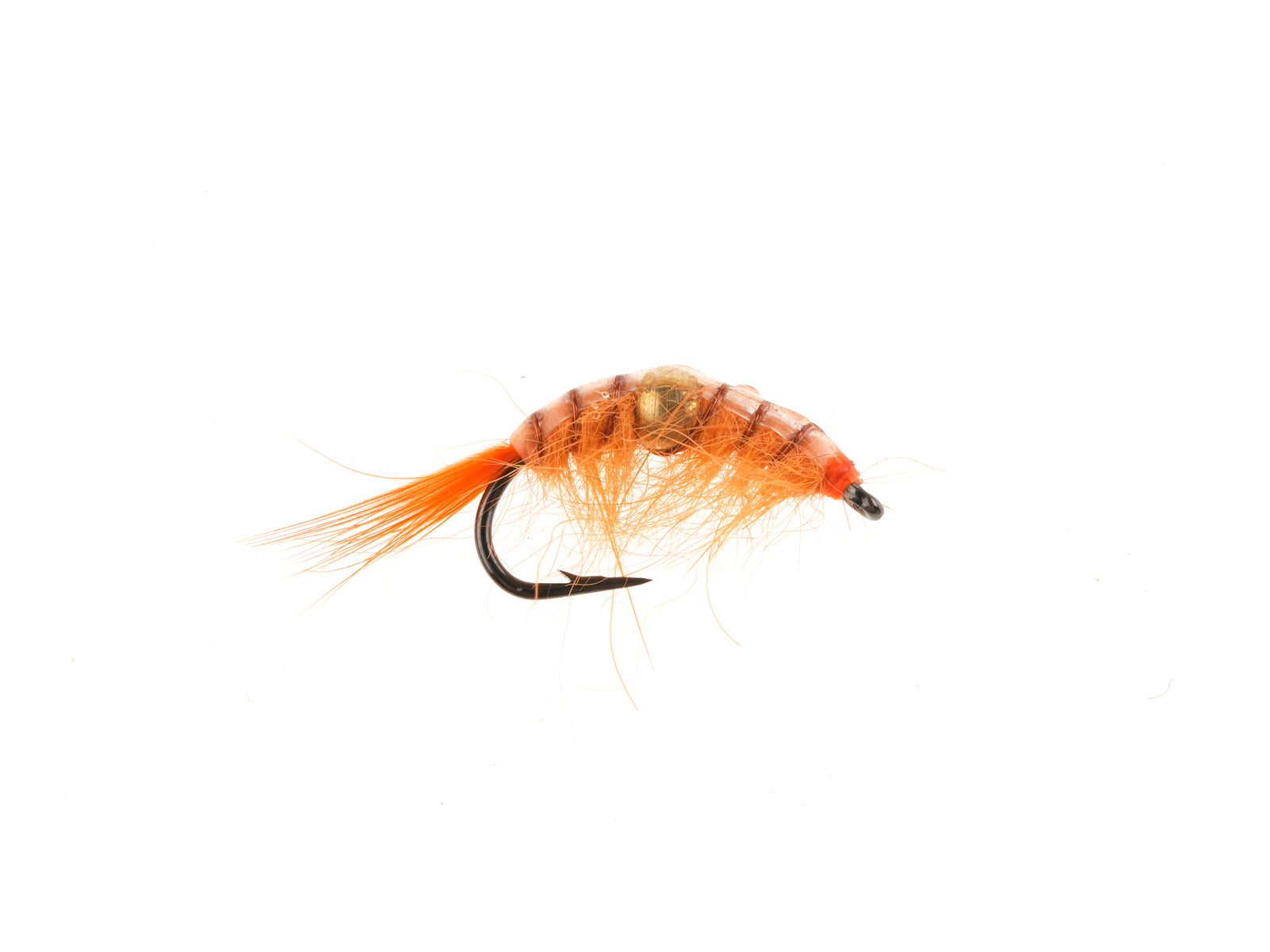 Studio product image of the Belly Bead Scud, WIFREO style XY171B