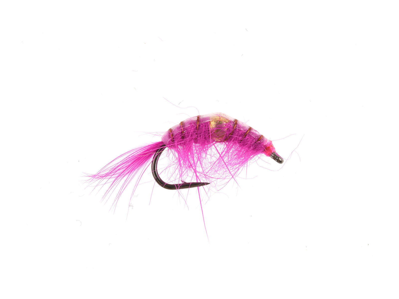 Studio product image of the Belly Bead Scud, WIFREO style XY171C